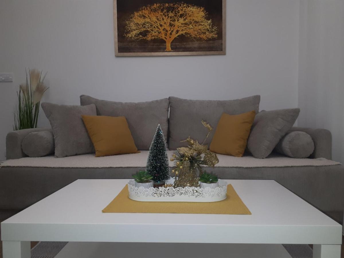 Bankovic Apartman Vrnjačka Banja 外观 照片