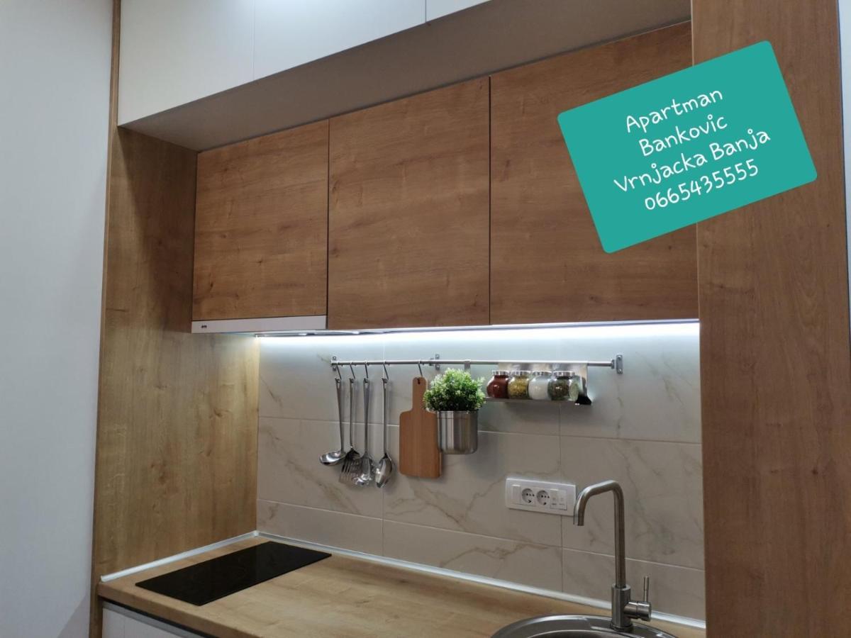 Bankovic Apartman Vrnjačka Banja 外观 照片