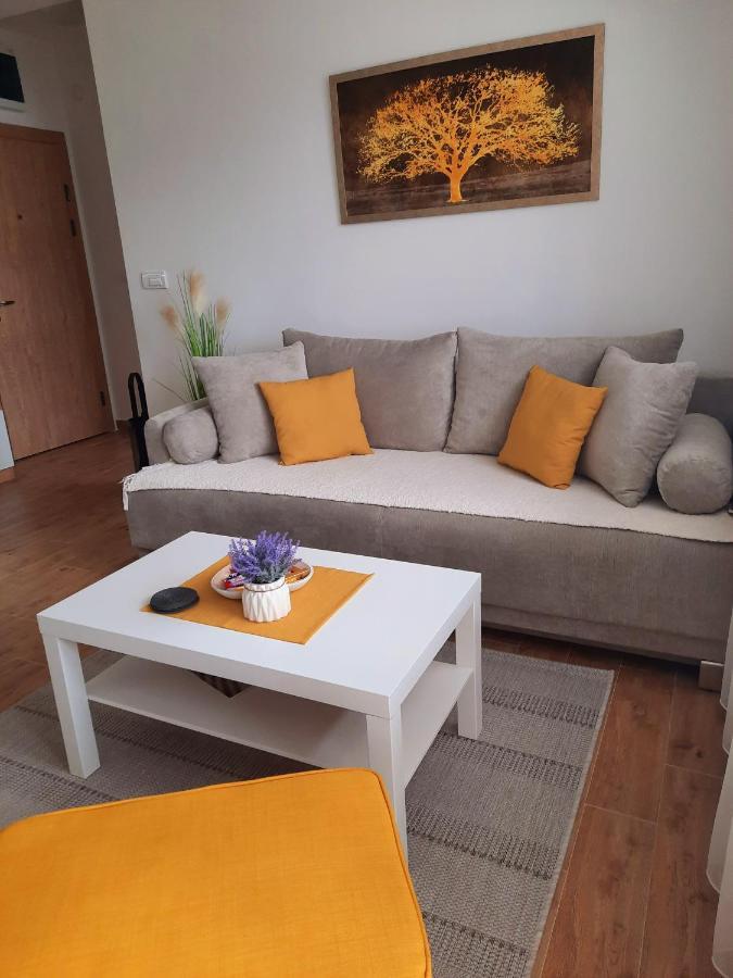 Bankovic Apartman Vrnjačka Banja 外观 照片