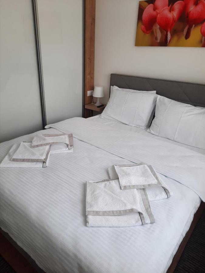 Bankovic Apartman Vrnjačka Banja 外观 照片