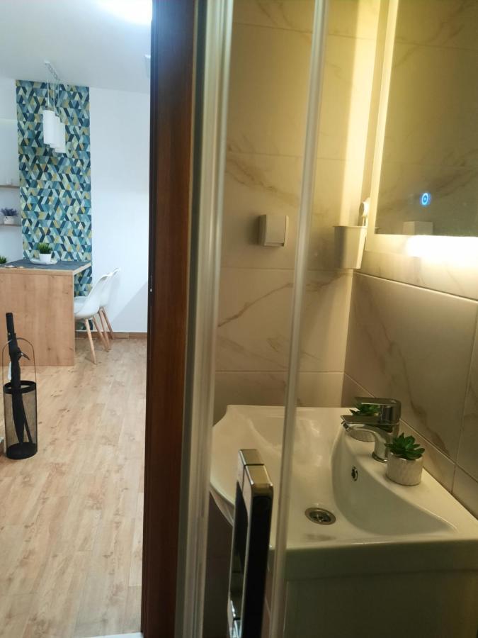 Bankovic Apartman Vrnjačka Banja 外观 照片