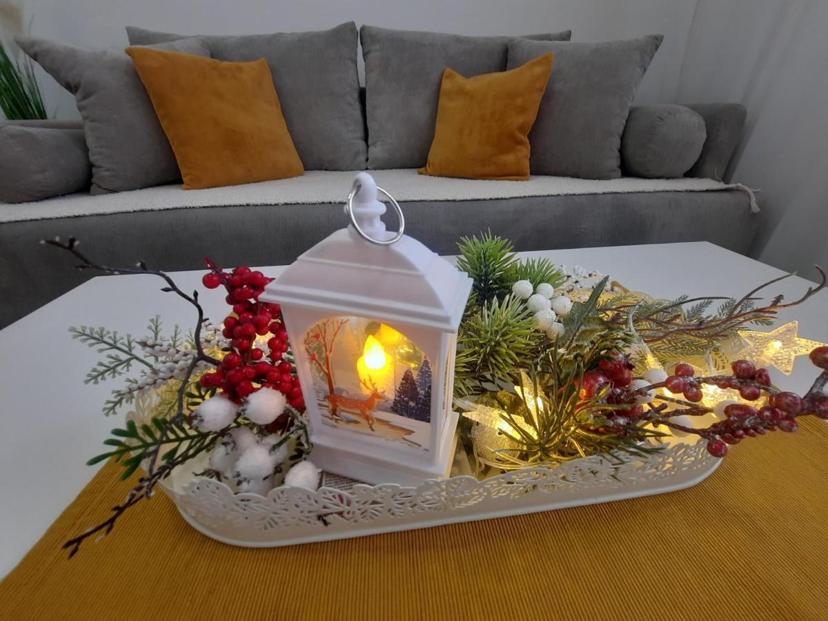 Bankovic Apartman Vrnjačka Banja 外观 照片